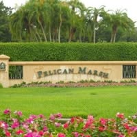 The Foundation of Pelican Marsh