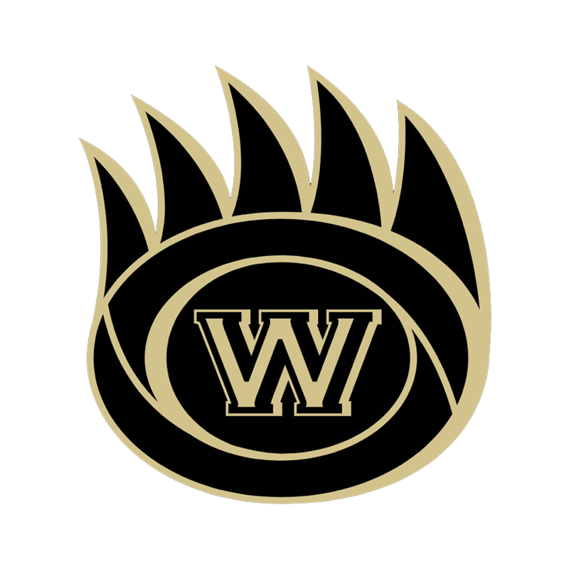 Wolverines Tennis Academy