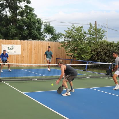 Waterloo Pickleball