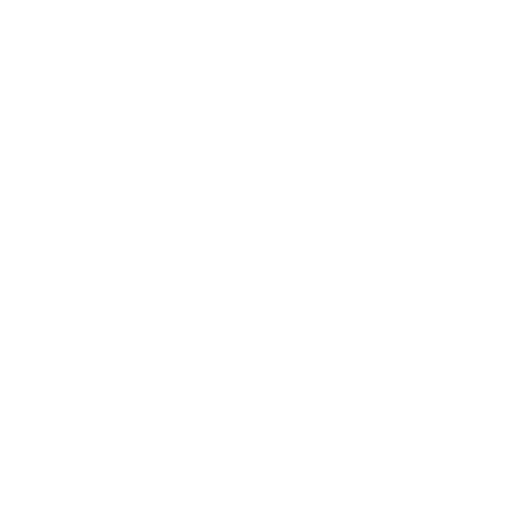 Smash Dink Indoor Pickleball