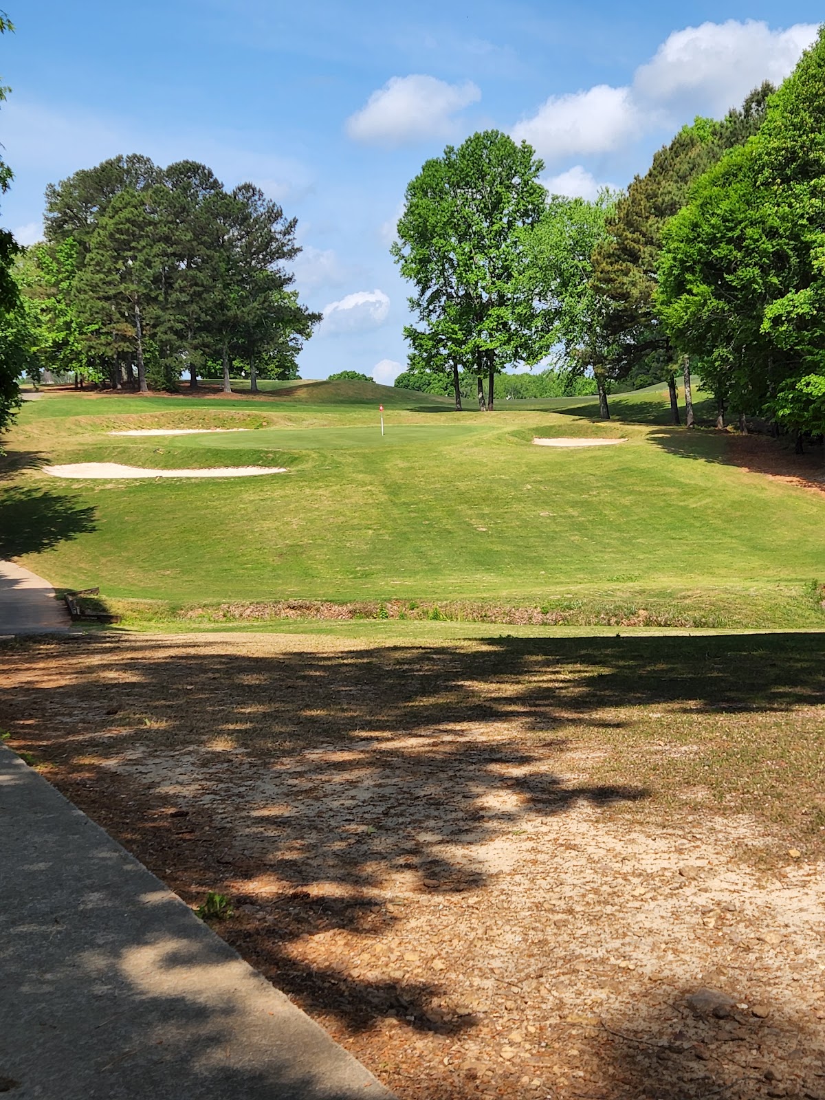 Oak Mountain Pickleball Courts