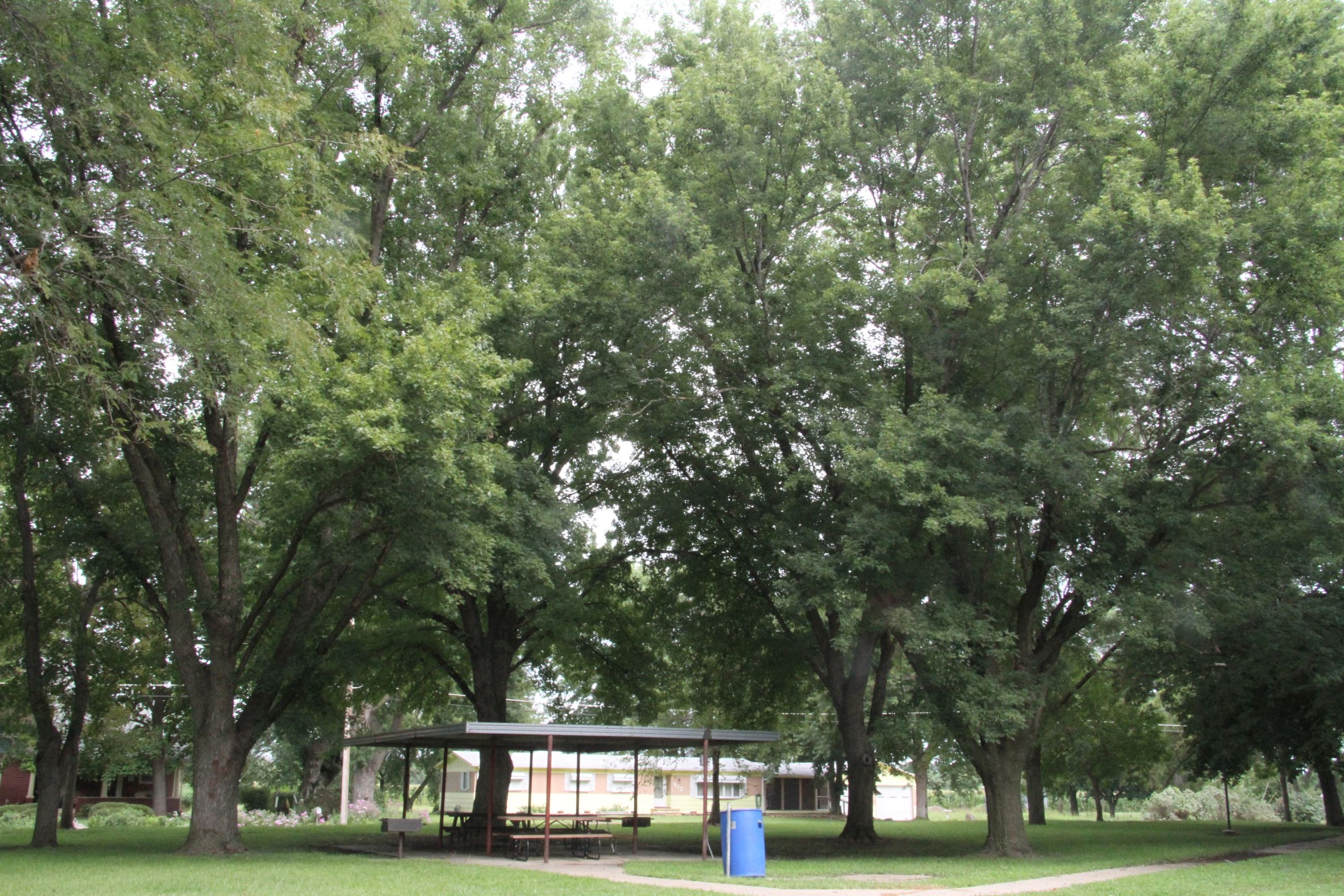 Willard Park