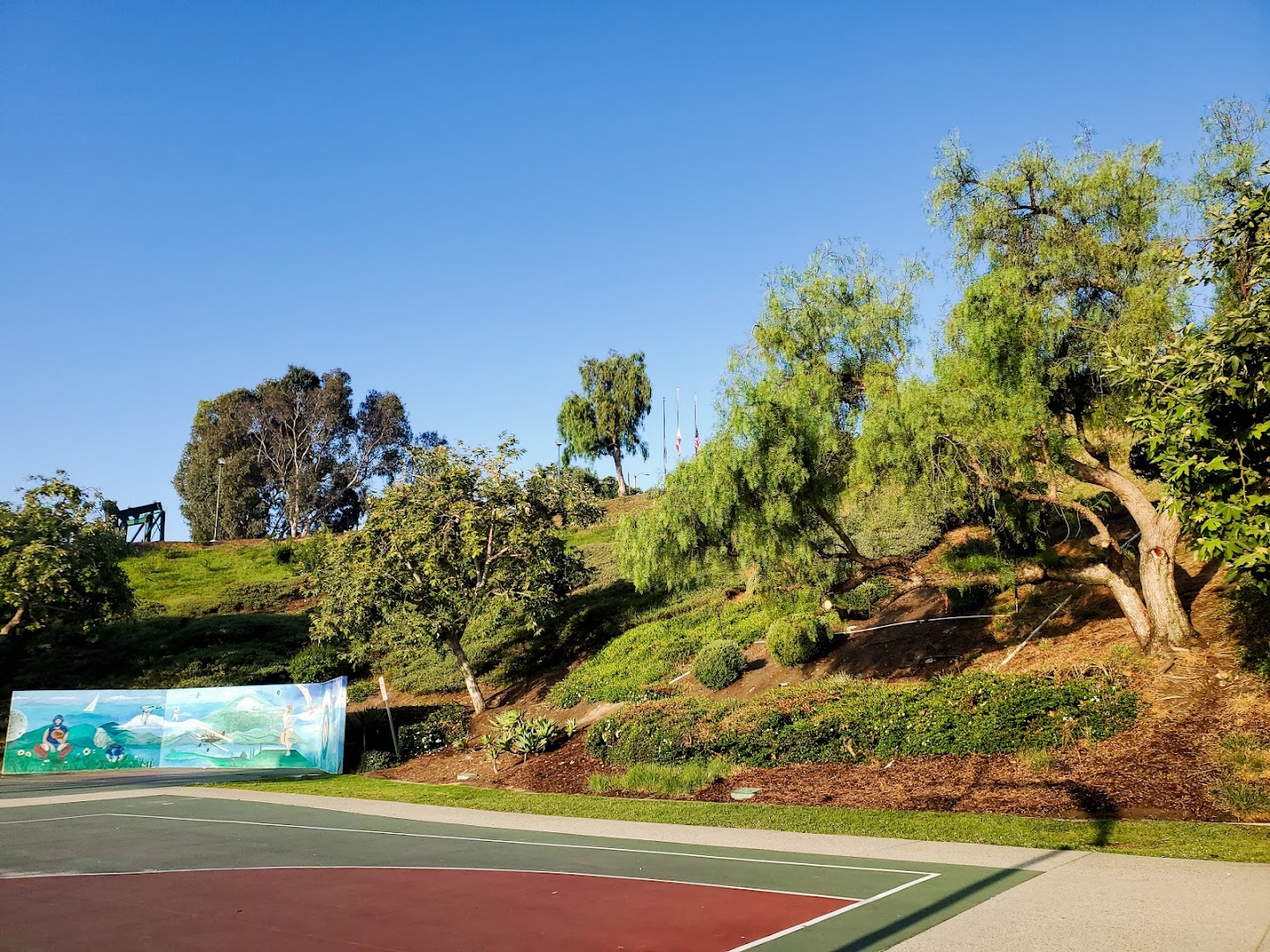 Pickleball at Discovery Well Park Bounce