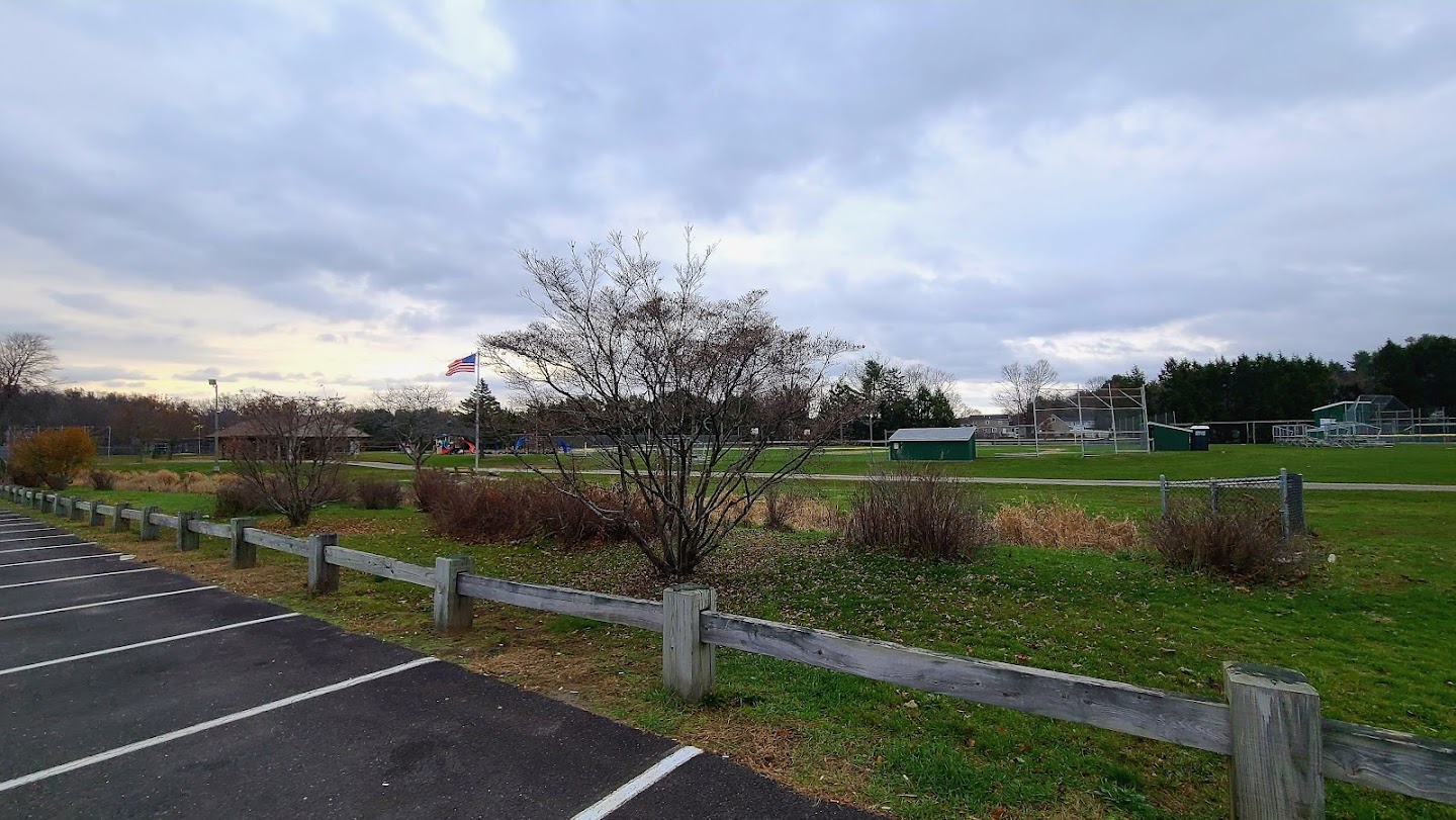 Pickleball at Robert Tedford Memorial Park Bounce