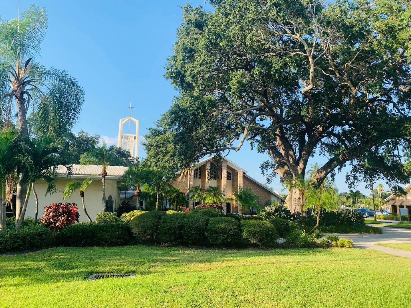 Church of the Palms