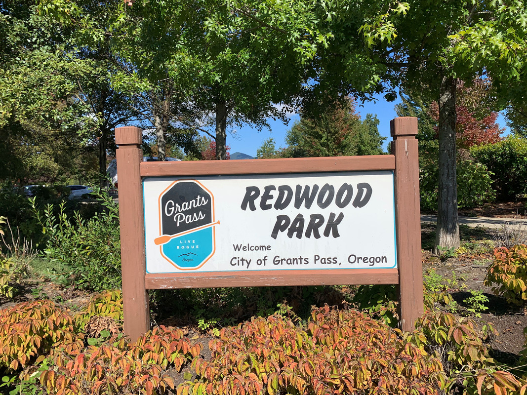 Pickleball at Redwood Park Bounce