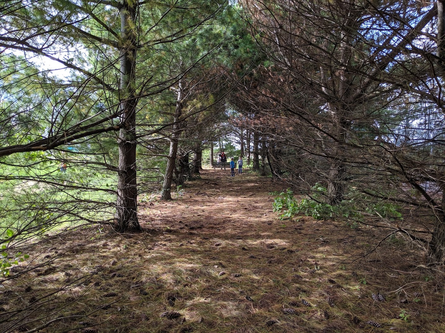 Cullinan Park