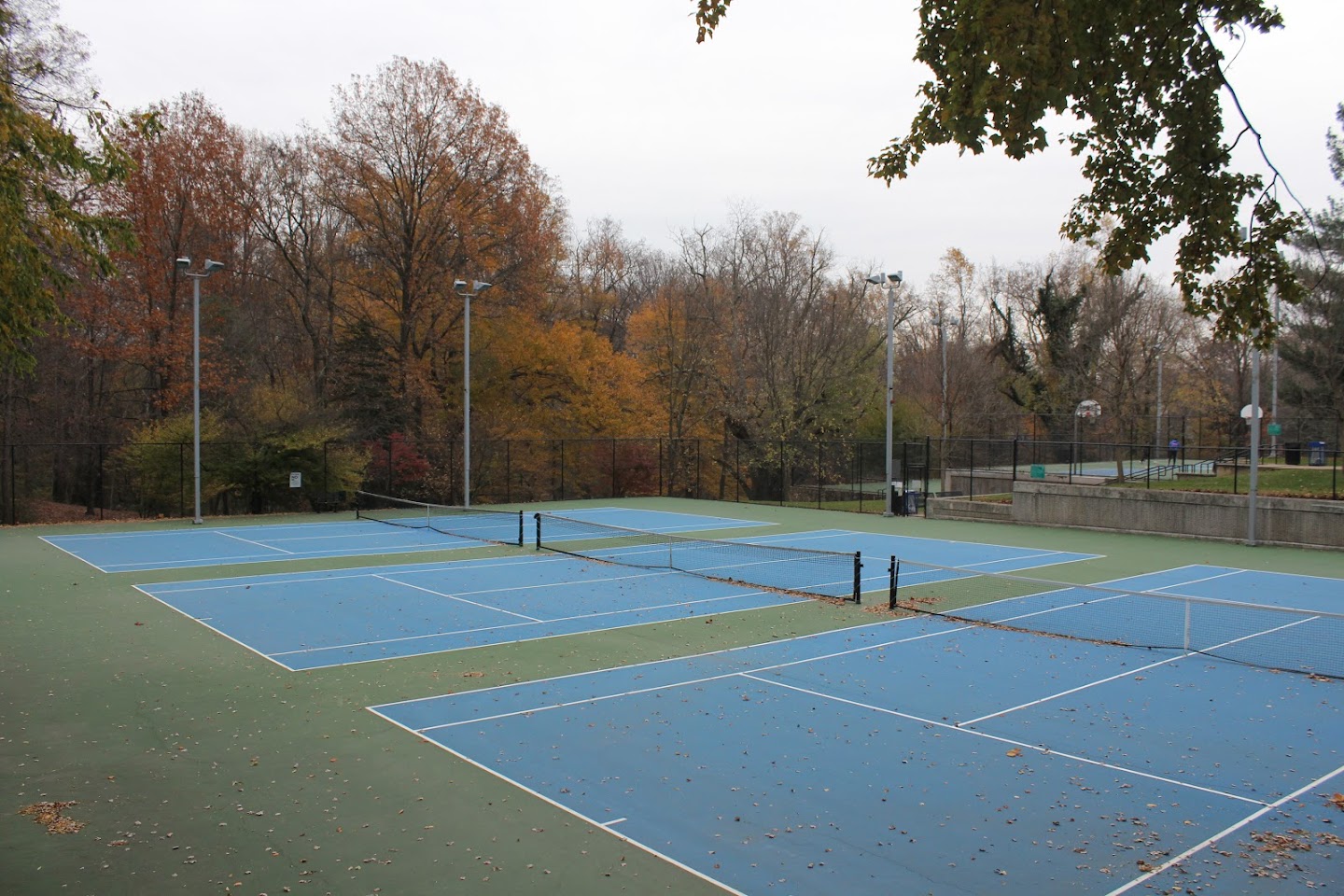 Glebe Road Park