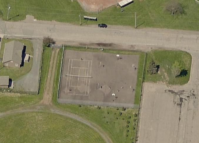 Cougar Dome
