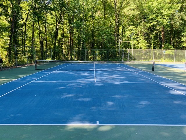 Collingwood Park Tennis Courts