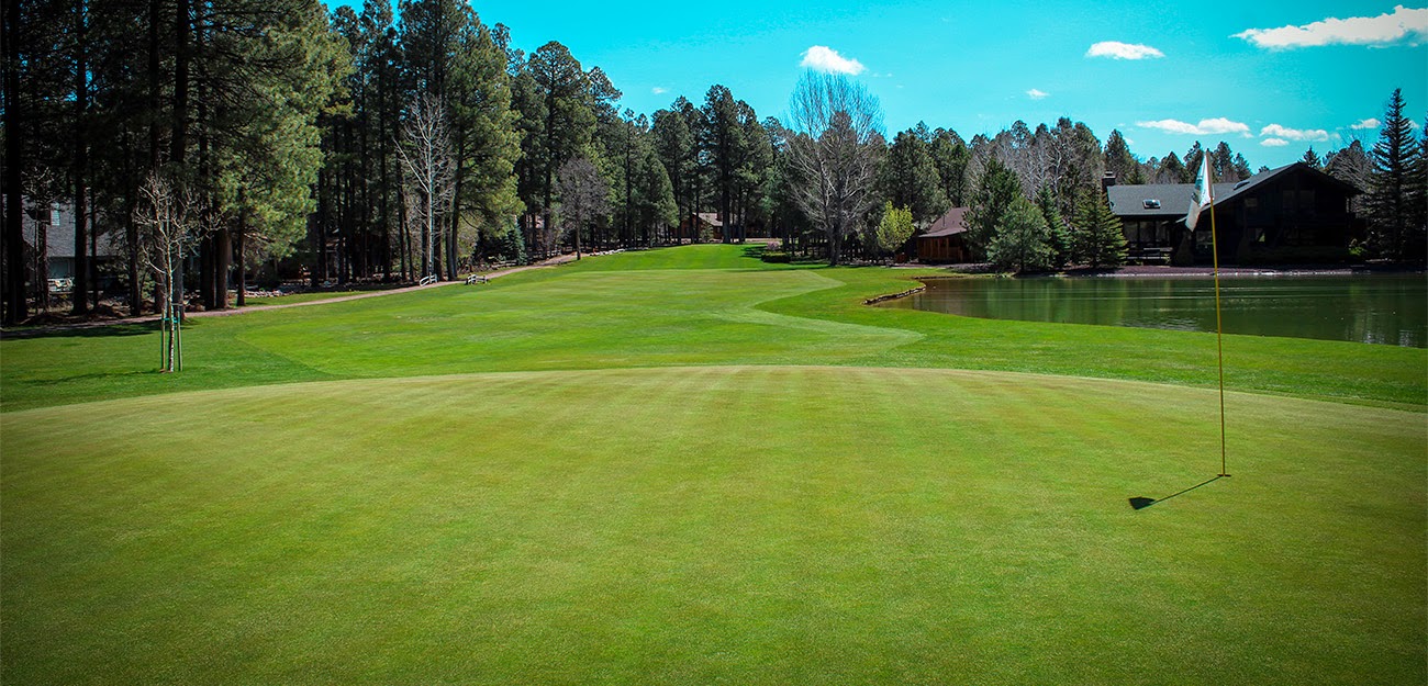 4643 Buck Springs Rd, Pinetop, AZ, 85935, USA