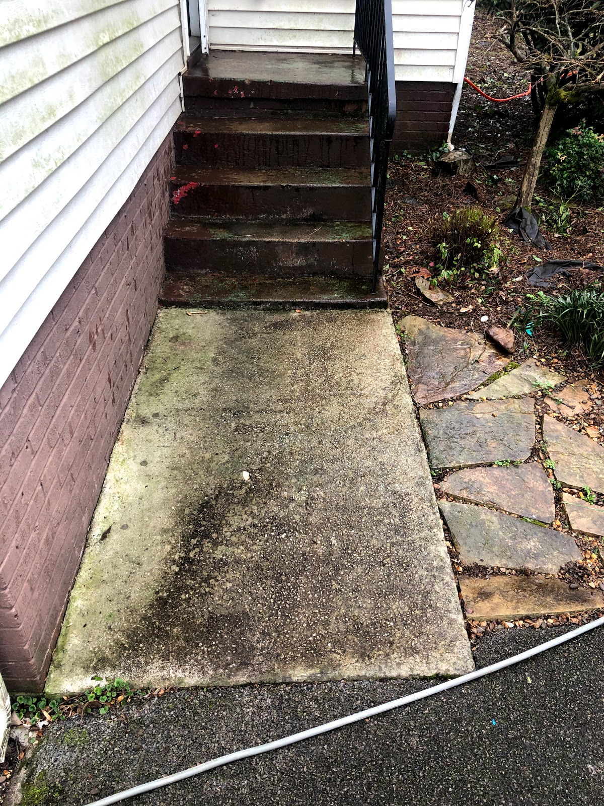 4228 Whitlow Ave, Knoxville, TN, 37919, USA
