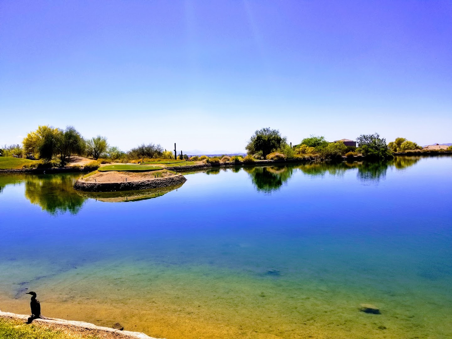 6425 E Teton Cir, Mesa, AZ, 85215, USA