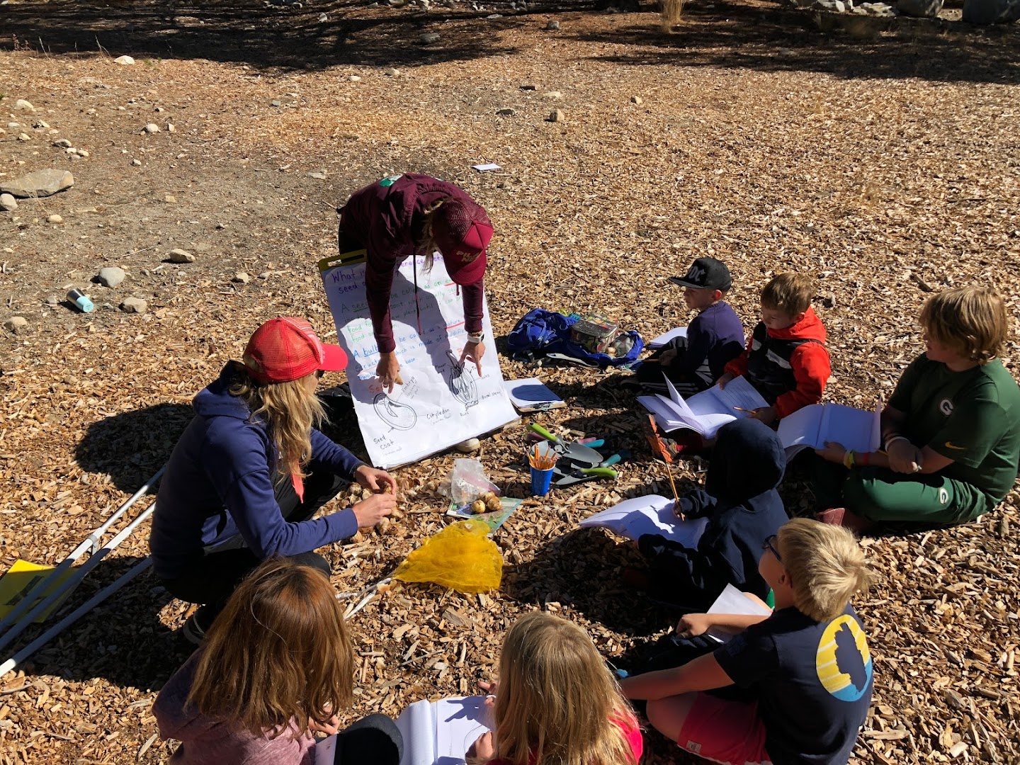 Donner Trail Elementary