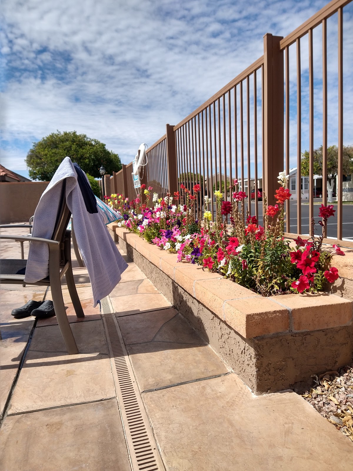 3165 E University Dr, Mesa, AZ, 85213, USA