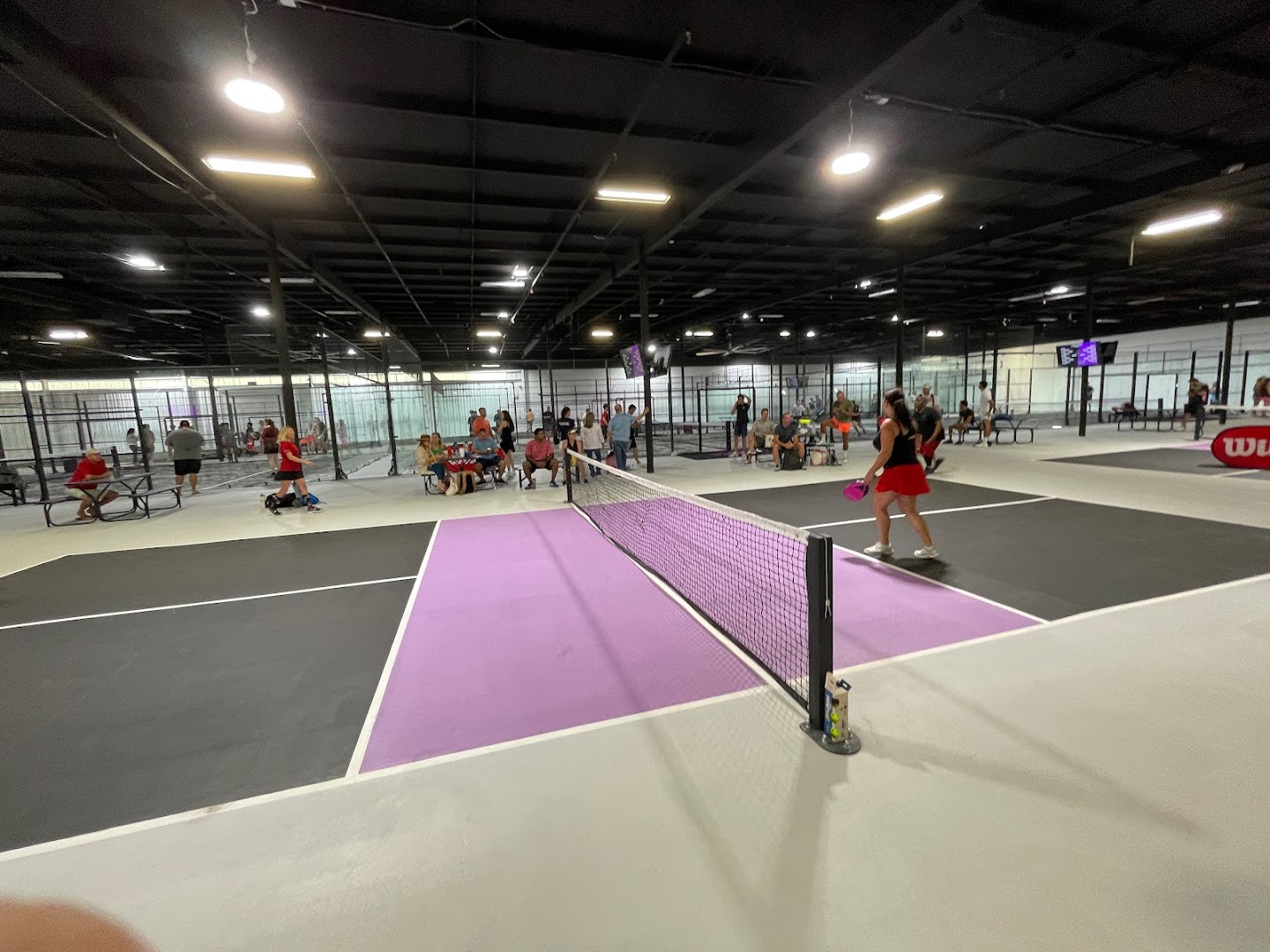 King of Padel