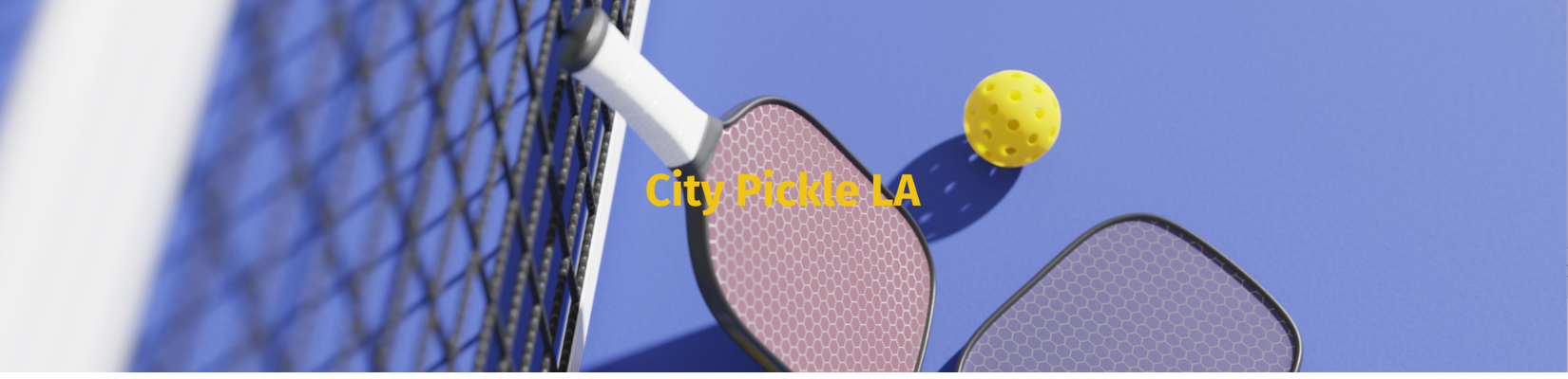 City Pickle LA (Coming SOON)