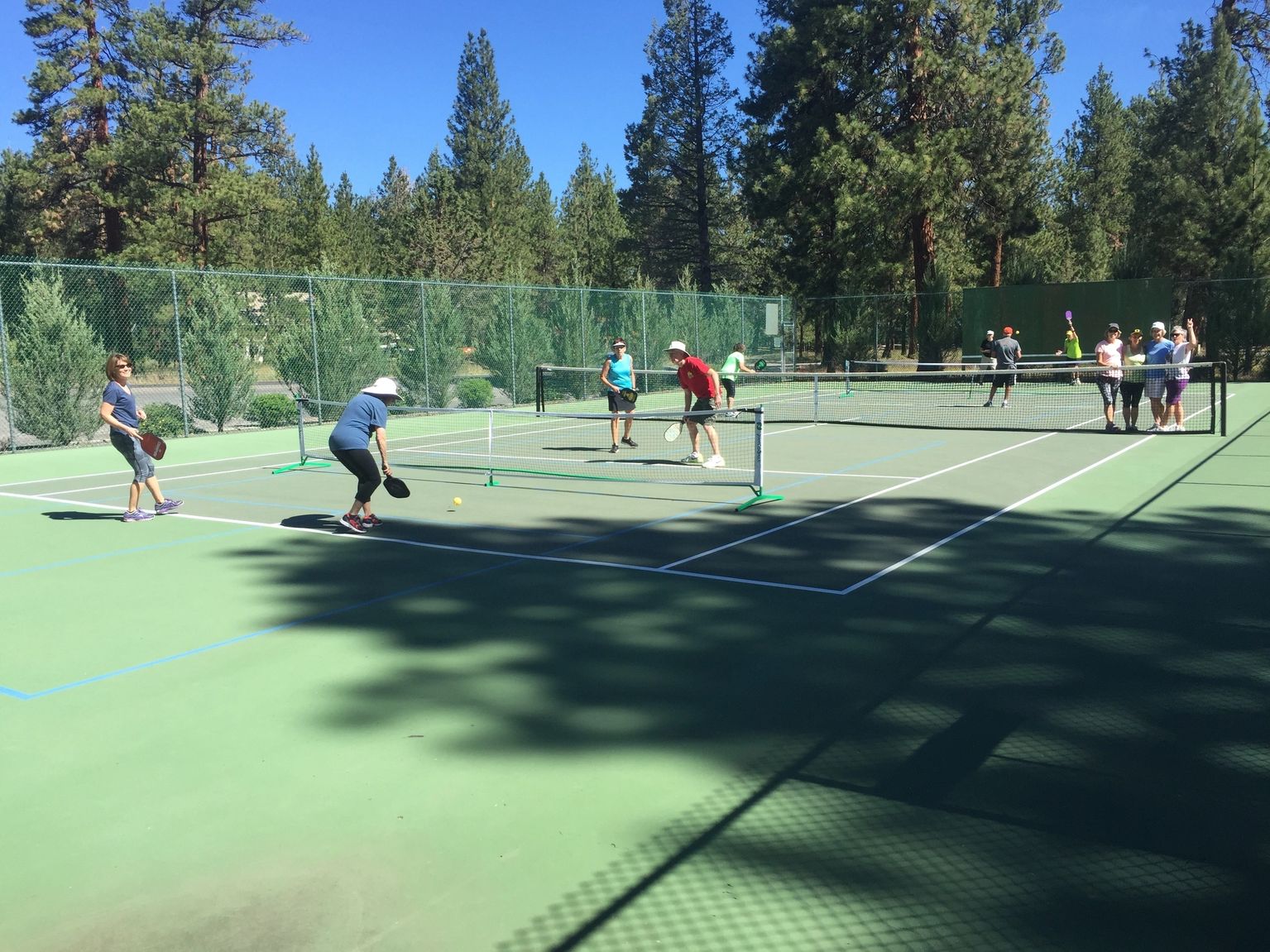 Locust Street Pickleball Courts