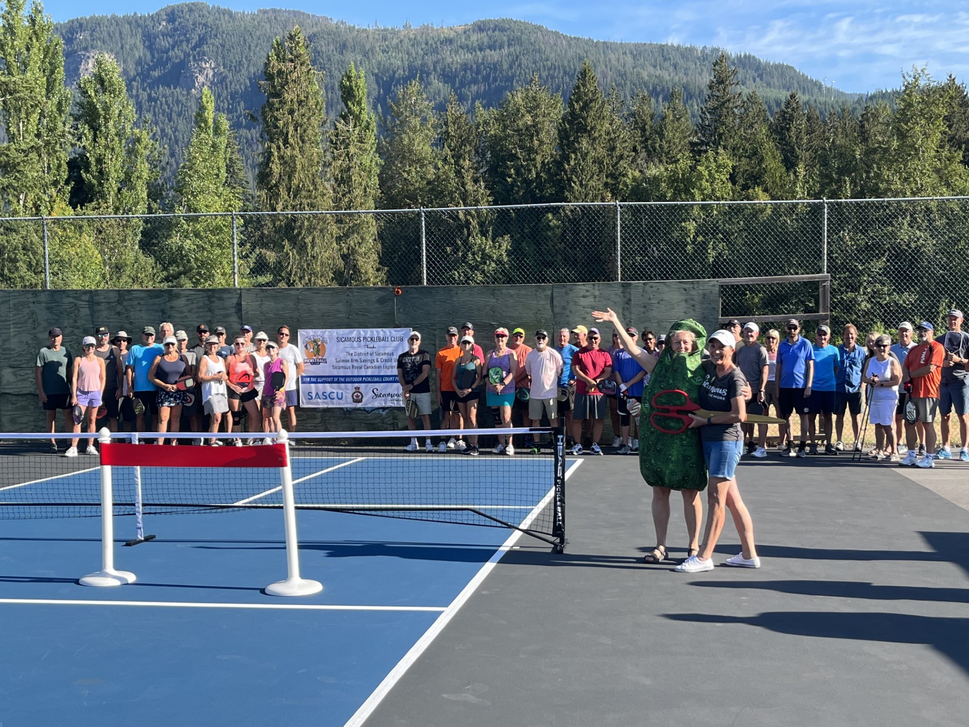 Sicamous Pickleball Courts
