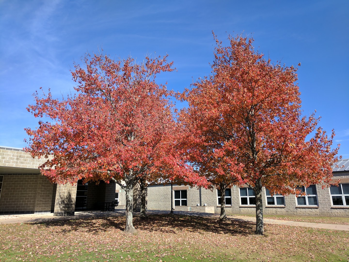 1100 College Drive, Morrow Street Entrance, Mena, AR 71953, USA