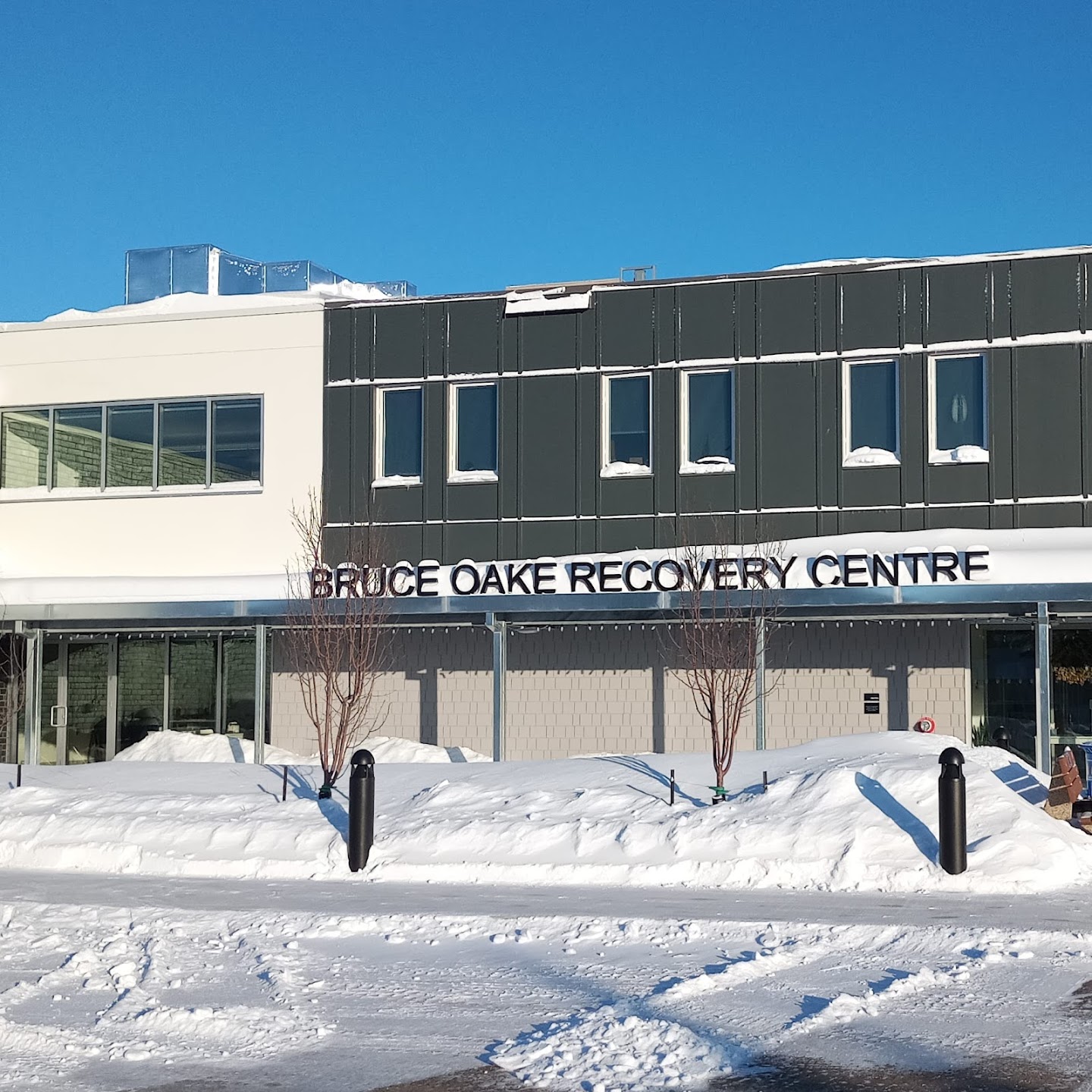 Pickleball at Bruce Oake Recovery Centre | Bounce