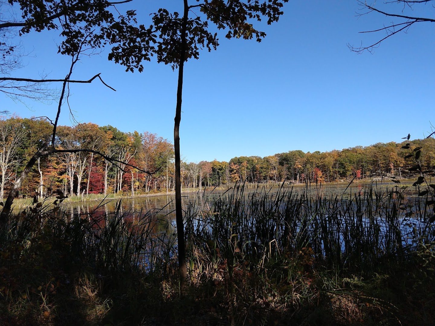 Mombasha Park