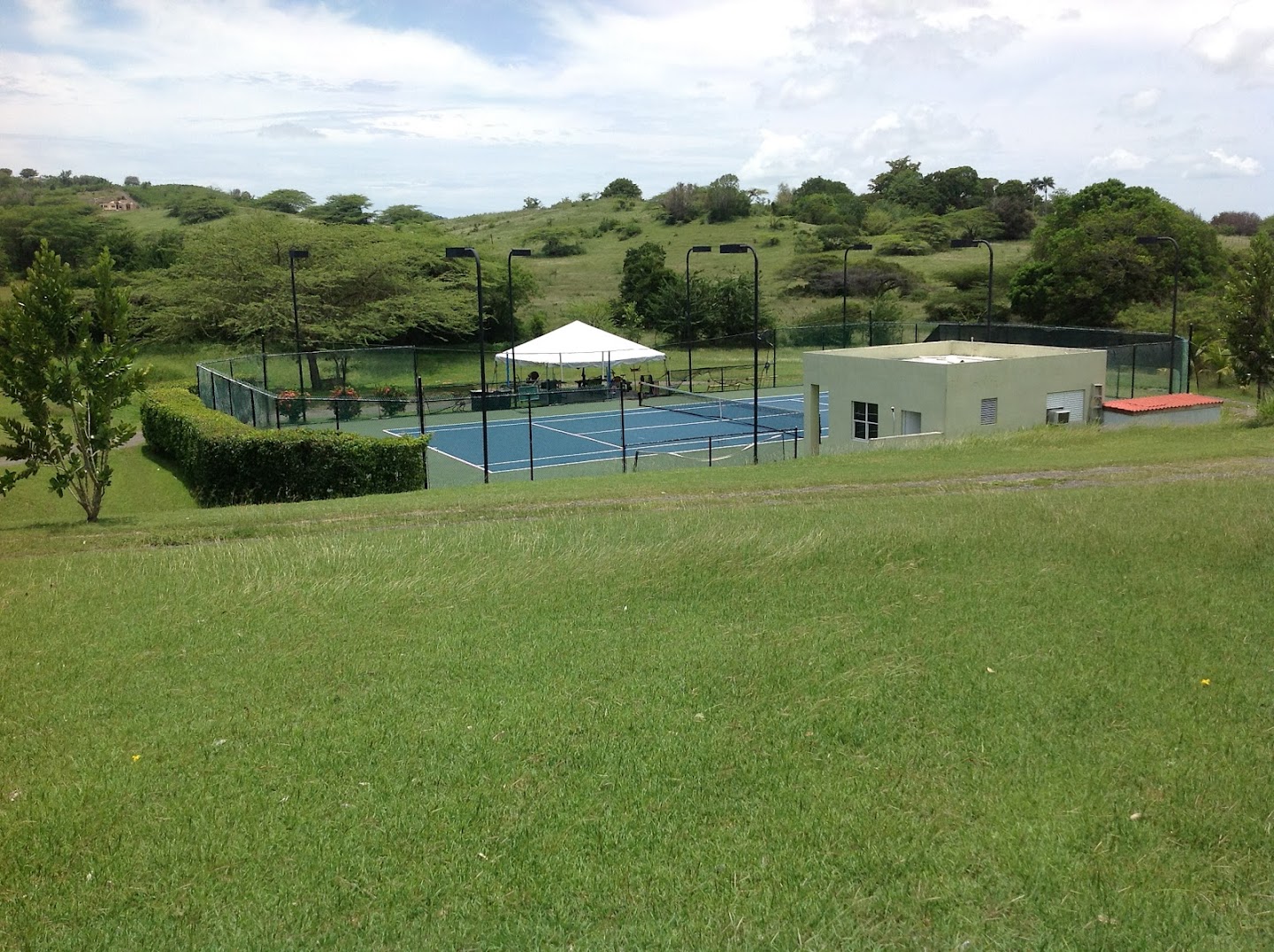 Neftali Tennis Training