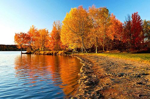 Marshfield Recreation Department