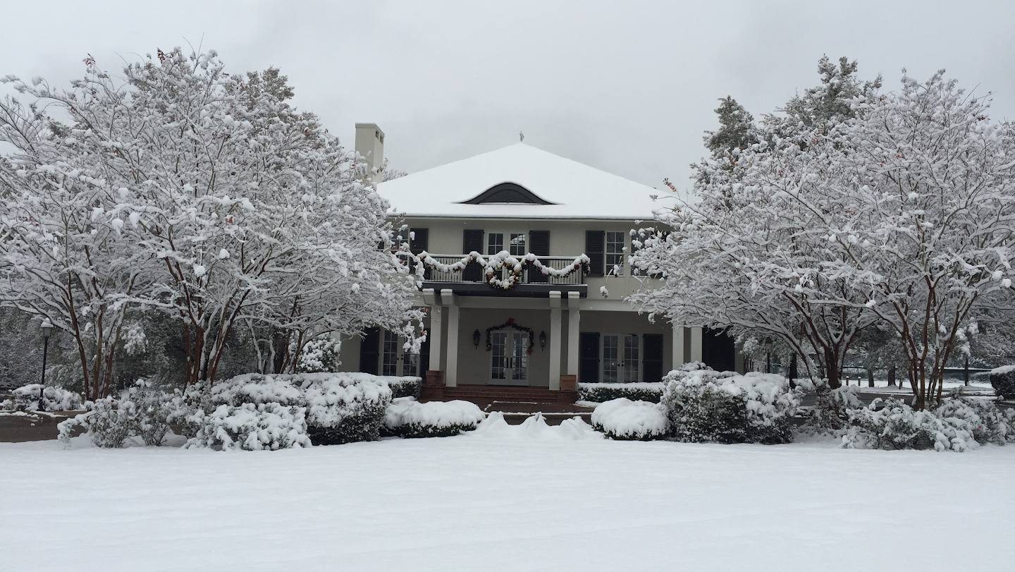 Pickleball at Dinsmor Clubhouse Bounce