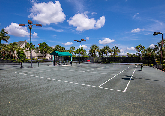 11725 Twineagles Blvd, Naples, FL, 34120, USA