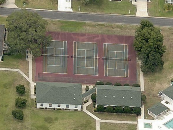 Ocala Palms
