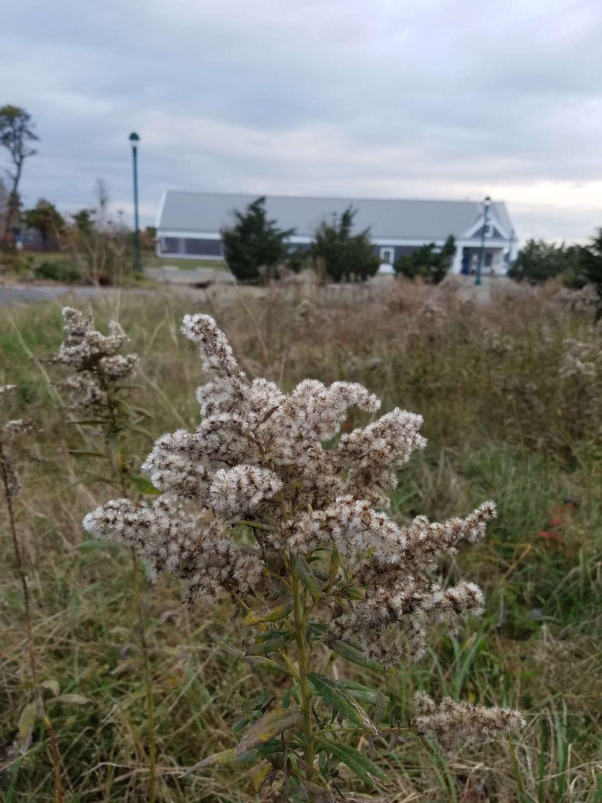 Nantucket Ice Community Rink
