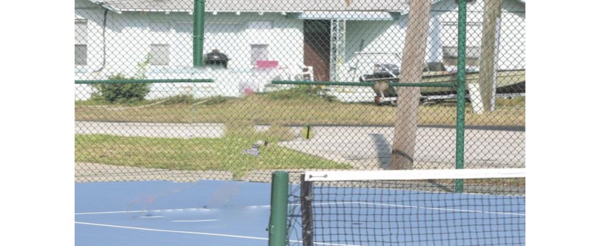 908 Live Oak St, New Smyrna Beach, FL 32168, USA