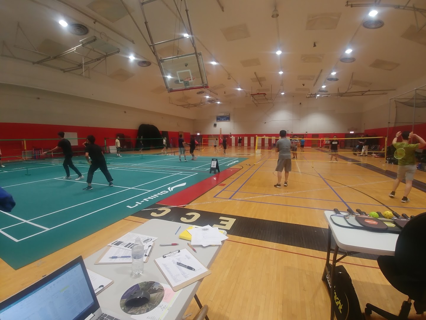 Rally Niagara Badminton & Pickleball - Zion Dominion