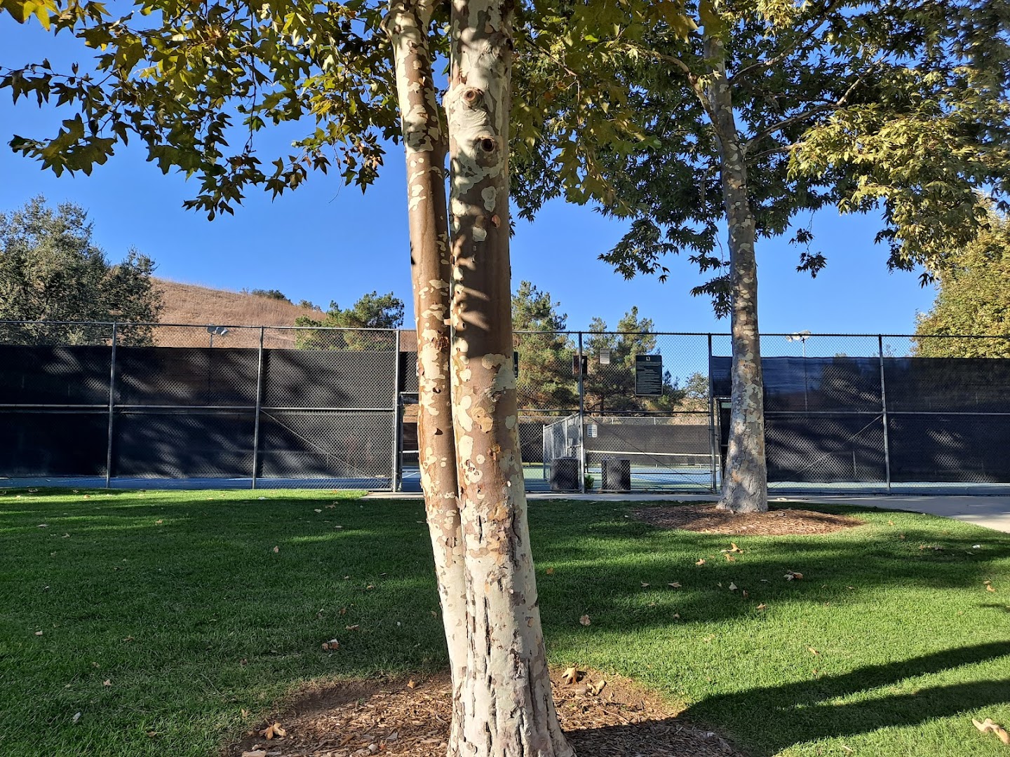 Pickleball at Gates Canyon Park Bounce
