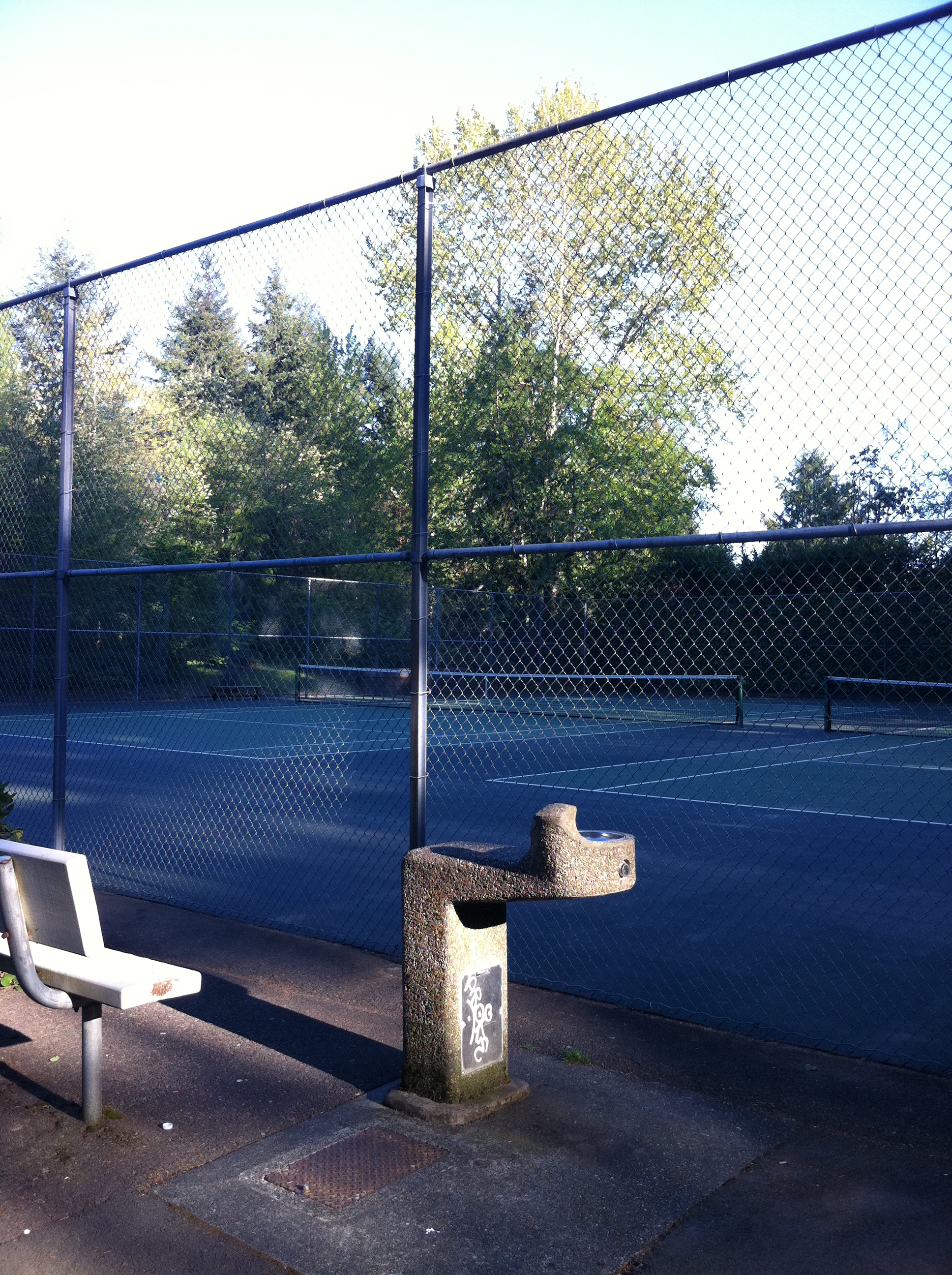 15803 NE 6th St, Bellevue, WA 98008, USA