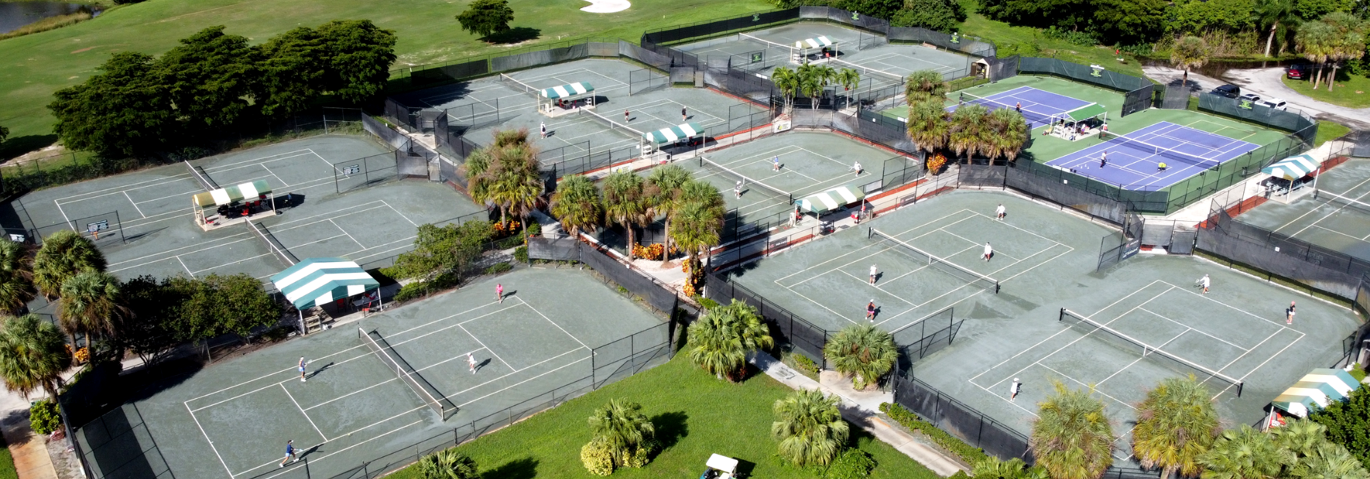 Del Potro Tennis Academy