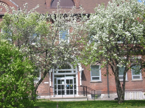 Activity Haven Senior Centre